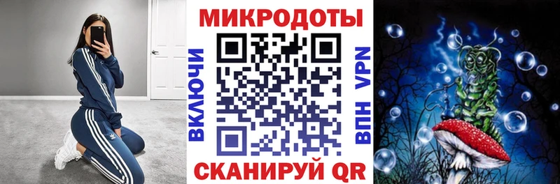 ссылка на мегу ссылки  наркотики  Лыткарино  Галлюциногенные грибы Psilocybine cubensis 