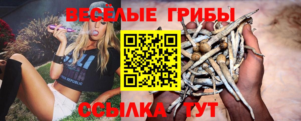 Псилоцибиновые грибы мухоморы Лыткарино
